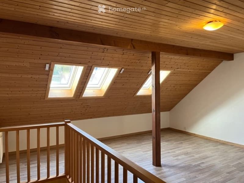 Originelle 2,5-Zimmer- Wohnung - 101 m2 (4)