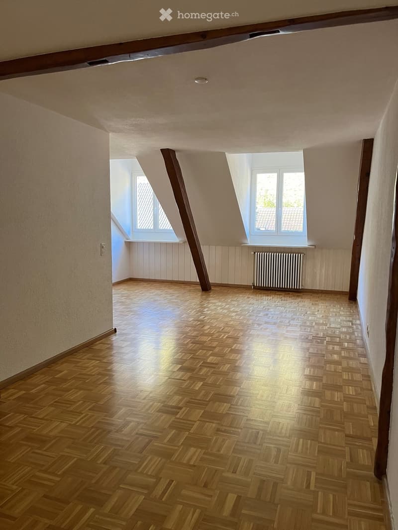 Originelle 2,5-Zimmer- Wohnung - 101 m2 (3)