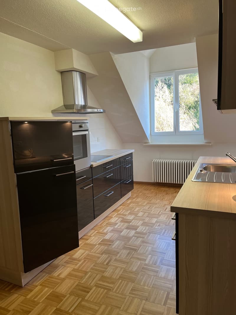 Originelle 2,5-Zimmer- Wohnung - 101 m2 (2)