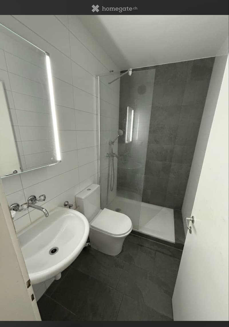2-Zimmer-Wohnung in Basel Nachmieter gesucht (5)