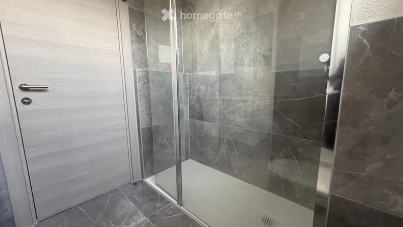 FINO A 2 MESI GRATUITI - 4.5 locali ristrutturato Coldrerio (9)
