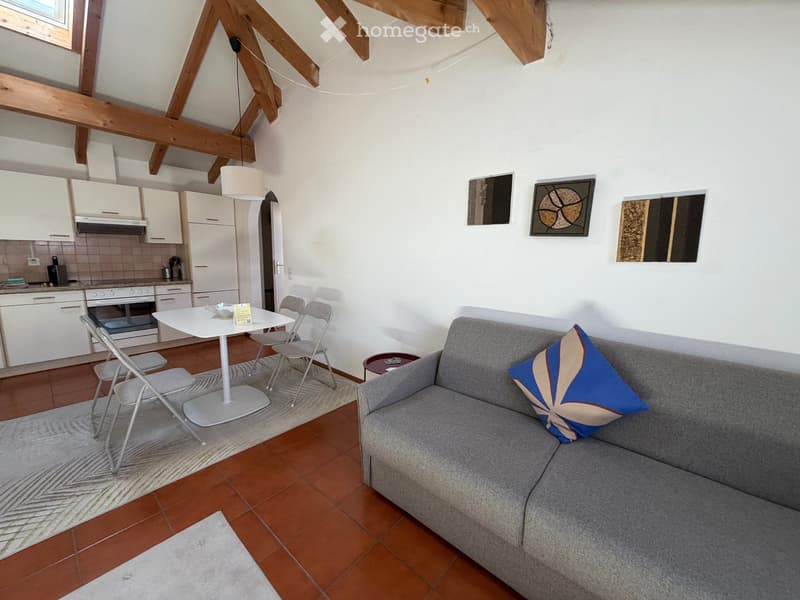 Appartamento Ammobiliato (4)