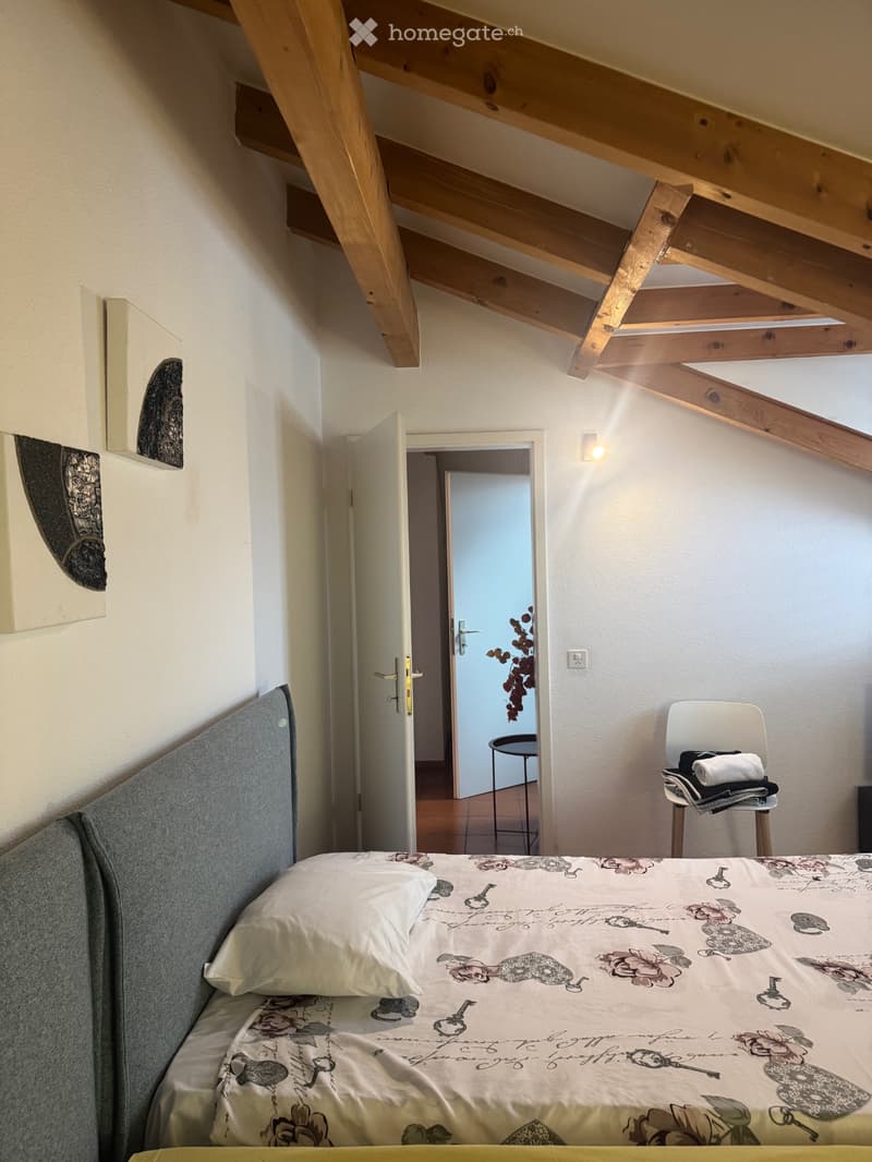 Appartamento Ammobiliato (2)