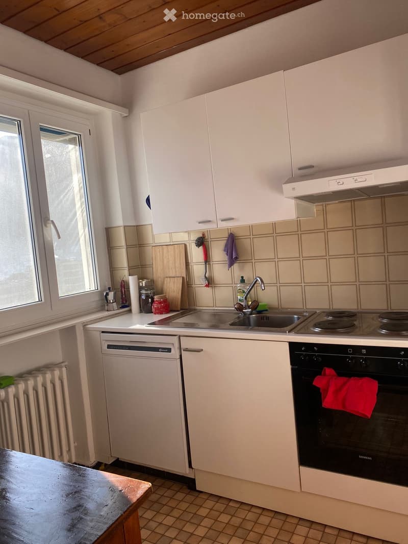 2.5 locali a Lugano con vista mozzafiato sul lago (4)
