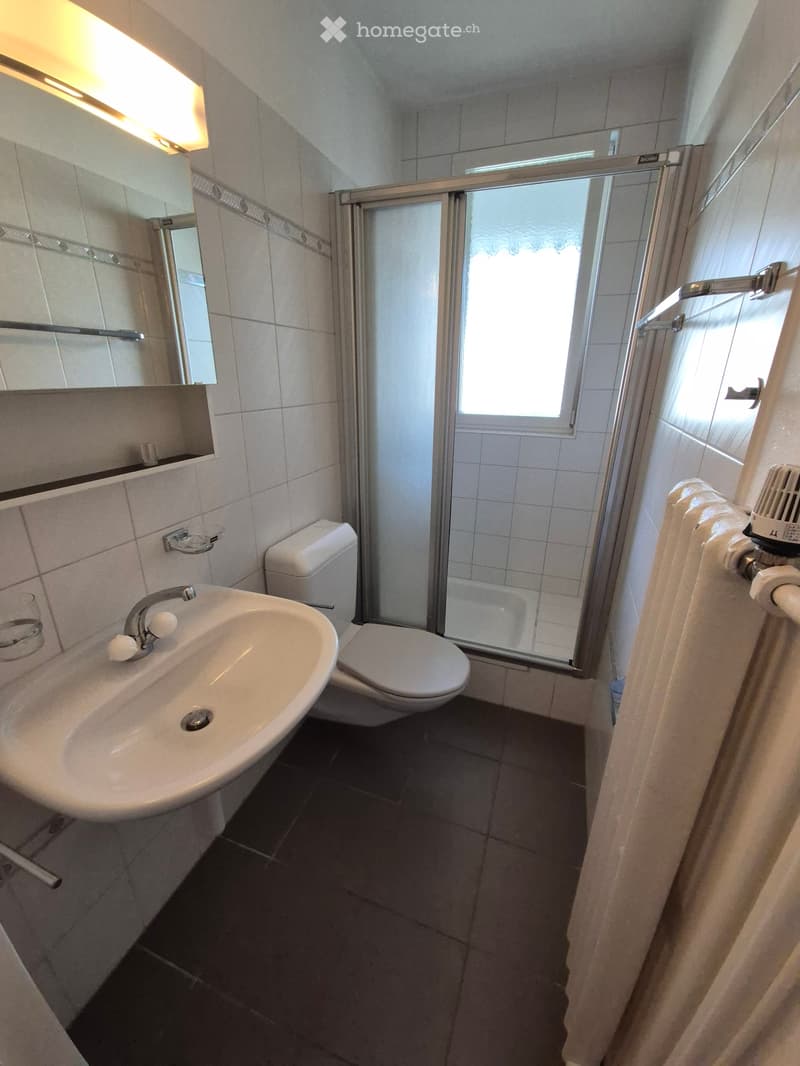 Studio für 1-3 Nächte pro Woche in Thun (3)