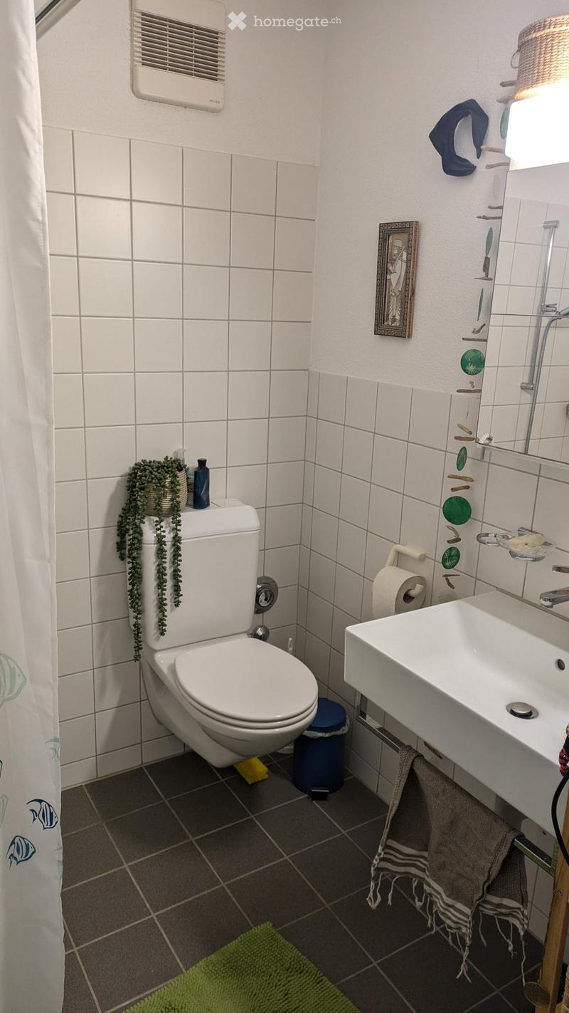 Wunderschöne Wohnung in unterschätzter Gegend nahe Wiedikon (5)