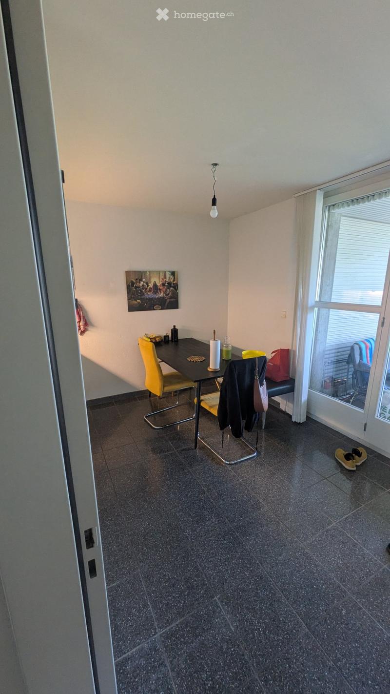 Wunderschöne Wohnung in unterschätzter Gegend nahe Wiedikon (2)