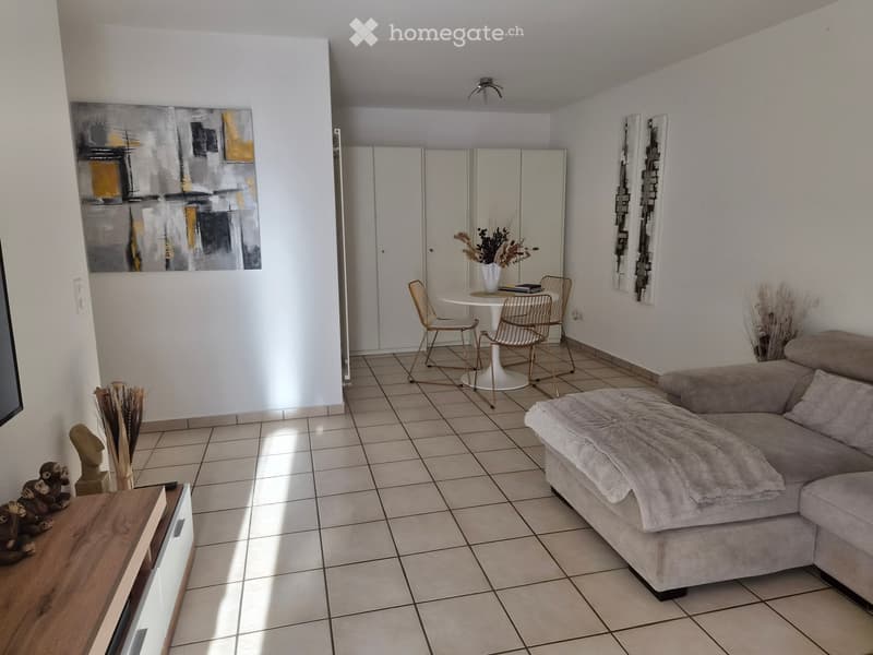 2 appartamenti di 4 locali in una casa (4)