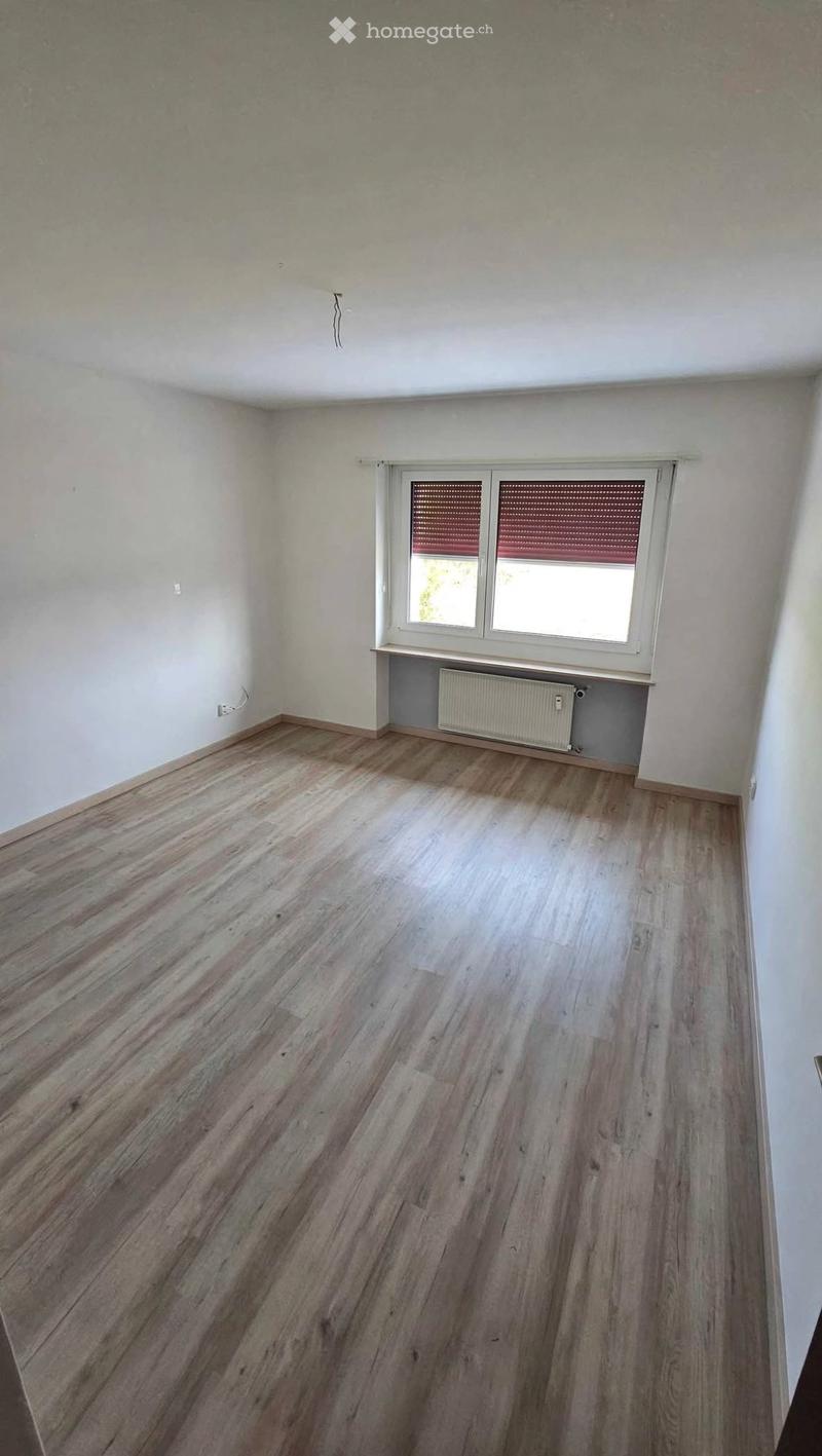 Rent a 3 rooms apartment in Basel (2)