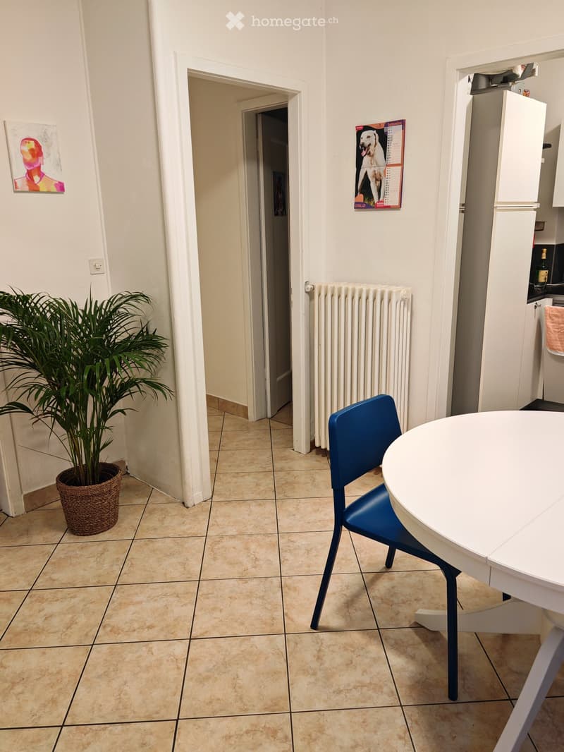 Cercasi subentrante 2.5 locali con giardino (5)