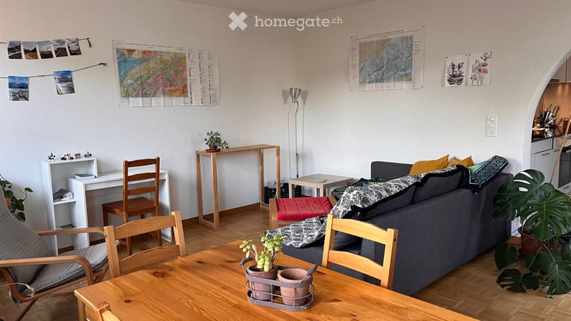 Nachmieter gesucht: helle 2-Zimmer-Wohnung in Birmensdorf ZH (1)