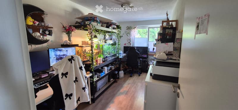 Suchen nachmieter 3 1/2 Zimmer Wohnung Bünzen (5)