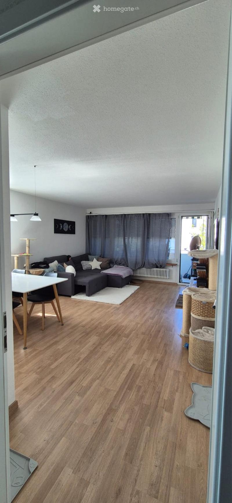 Suchen nachmieter 3 1/2 Zimmer Wohnung Bünzen (1)
