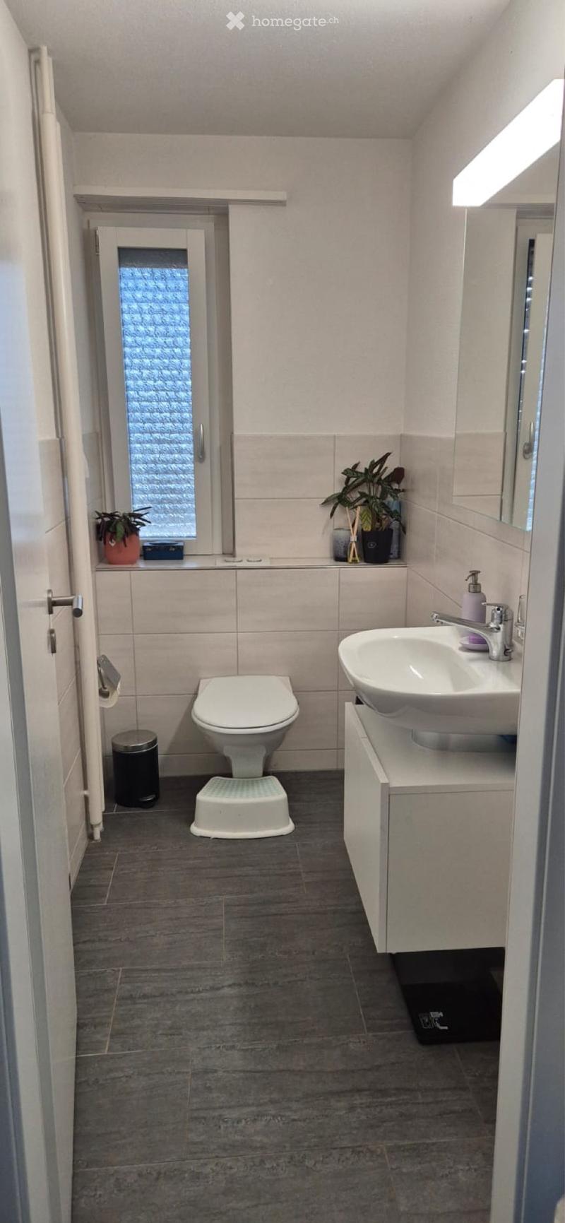 Suchen nachmieter 3 1/2 Zimmer Wohnung Bünzen (4)