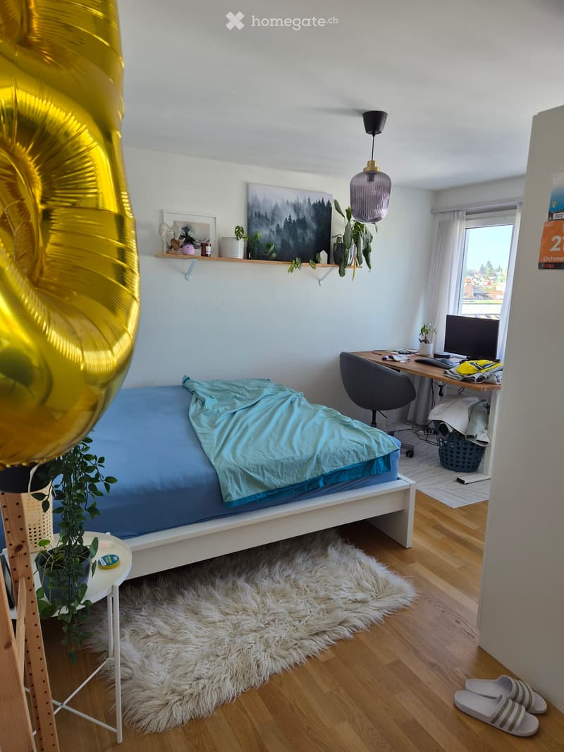 Suche per 1.12 Nachmieter für meine 2.5 Zimmer Wohnung (4)