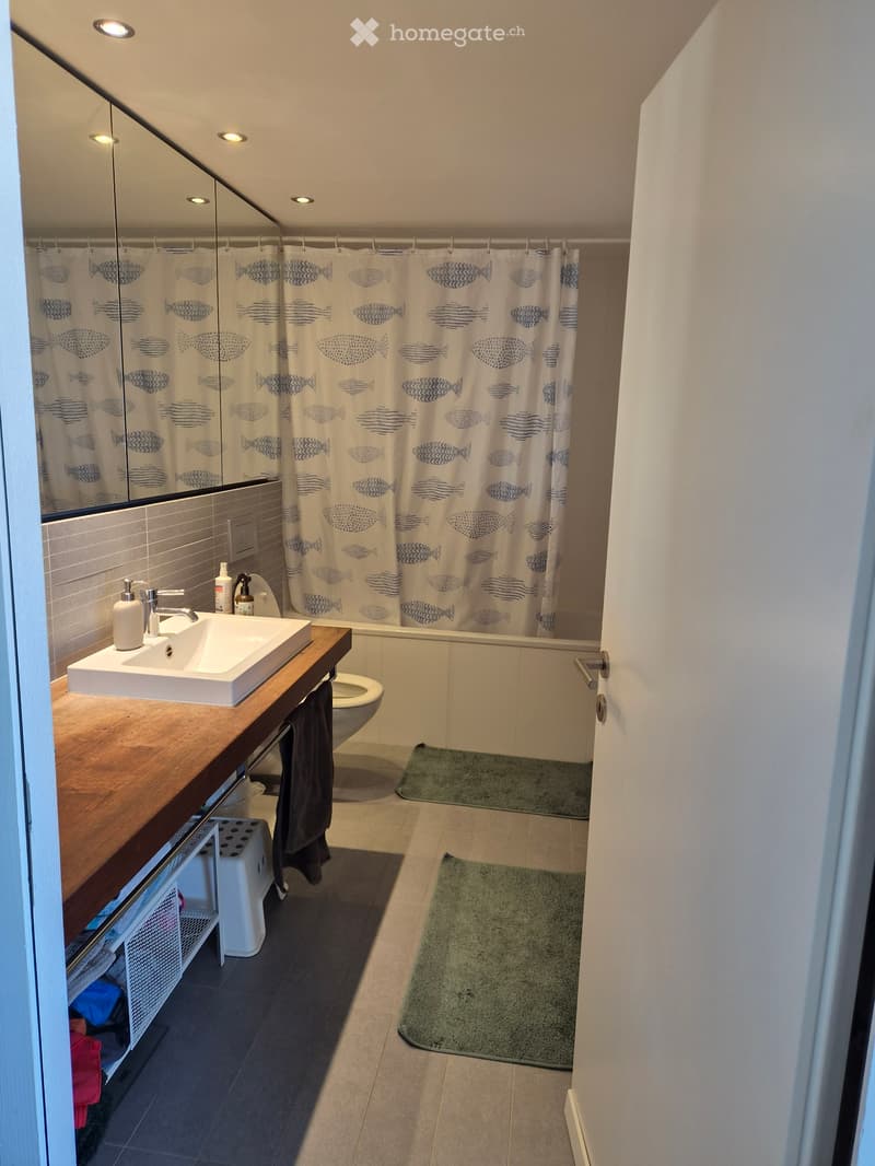 Suche per 1.12 Nachmieter für meine 2.5 Zimmer Wohnung (2)