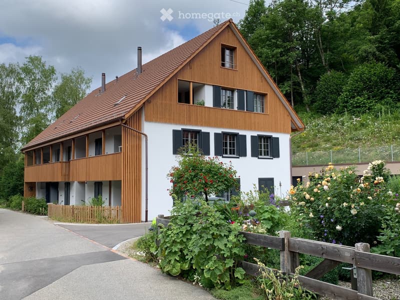 Neubau-Wohnung im Dorfkern - mit sehr schönem Balkon (2)