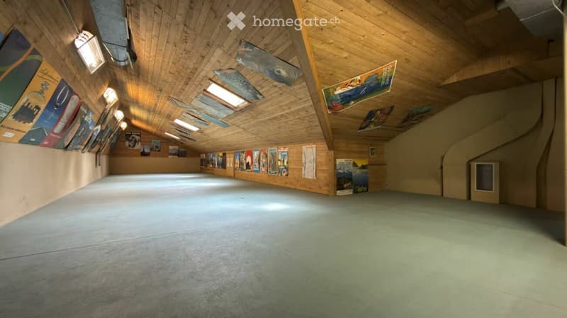 Grosszügige 12 Zimmer Villa in Langenthal (3)