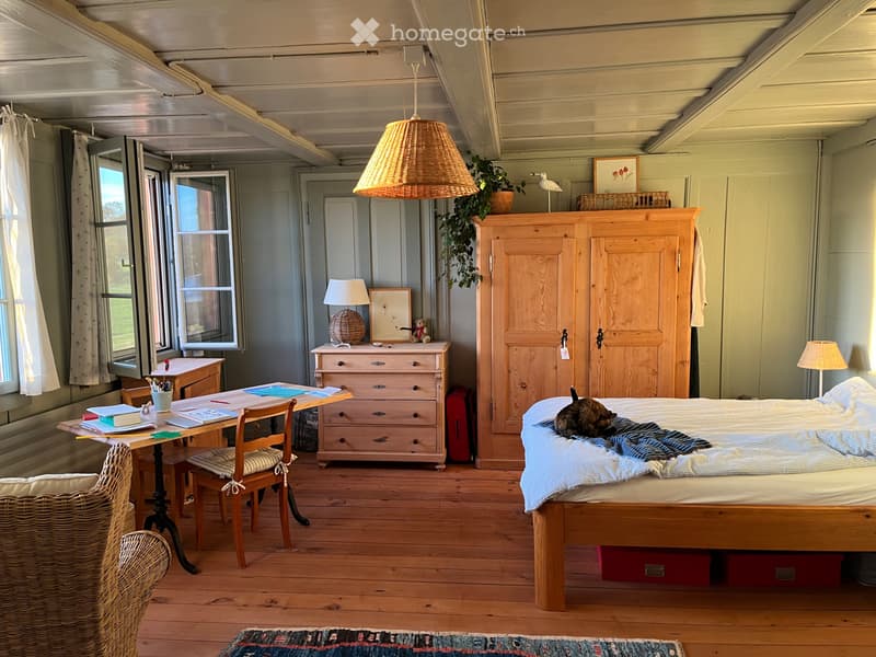 Wunderschöne, grosse zweieinhalb Zimmerwohnung (5)