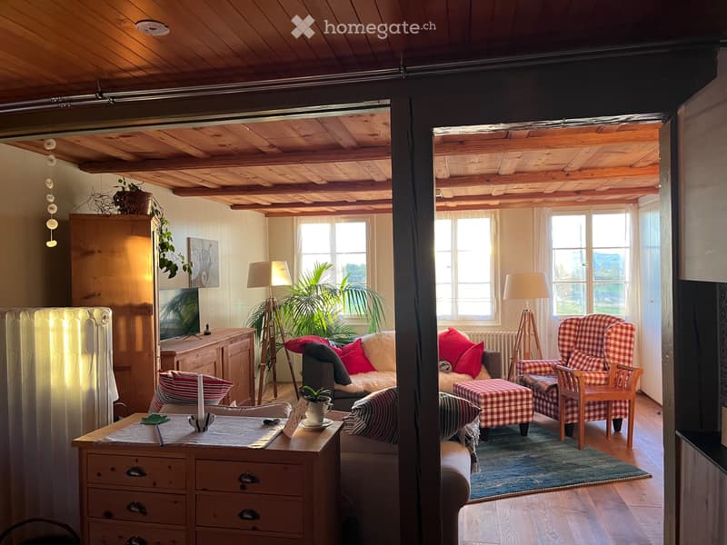 Wunderschöne, grosse zweieinhalb Zimmerwohnung (3)