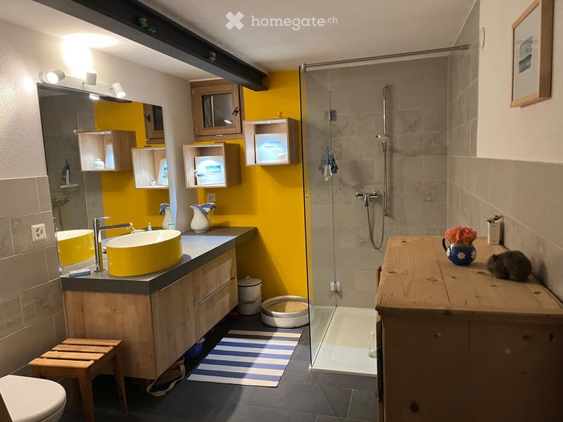 Wunderschöne, grosse zweieinhalb Zimmerwohnung (4)