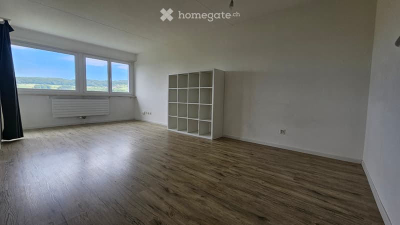 Schöne 1.5 Zimmer Wohnung in Baden (1)