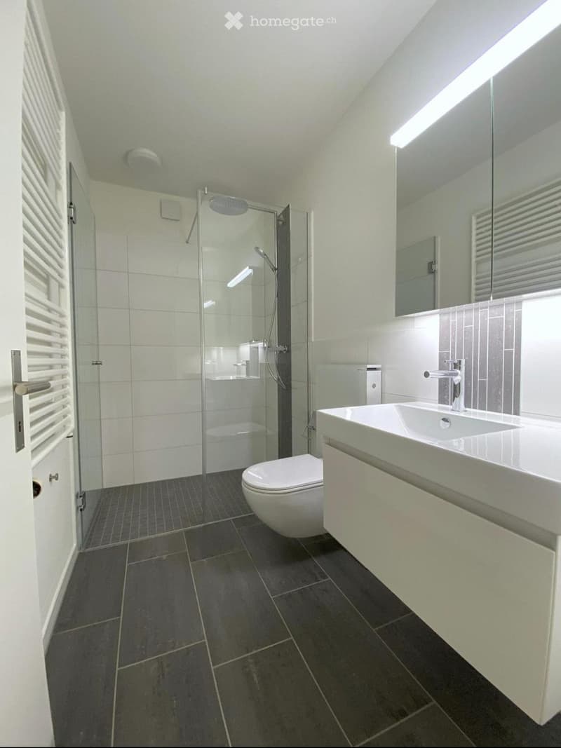 4 1/2 Zimmer Wohnung in Langnau am Albis (3)
