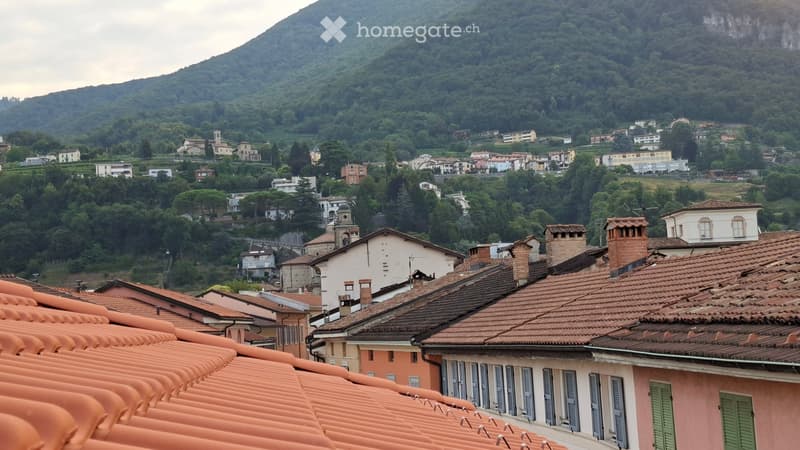 Mendrisio, affittasi appartamento mansardato 3 locali (5)