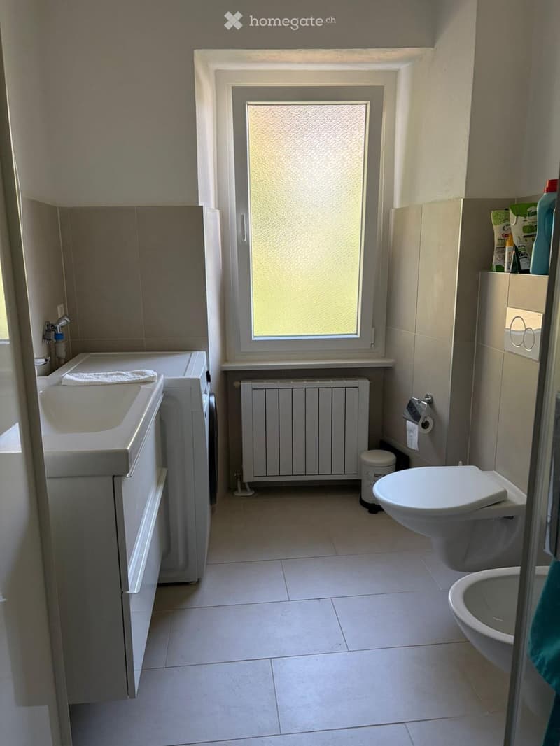 Appartamento 3.5 ultimo piano (1)