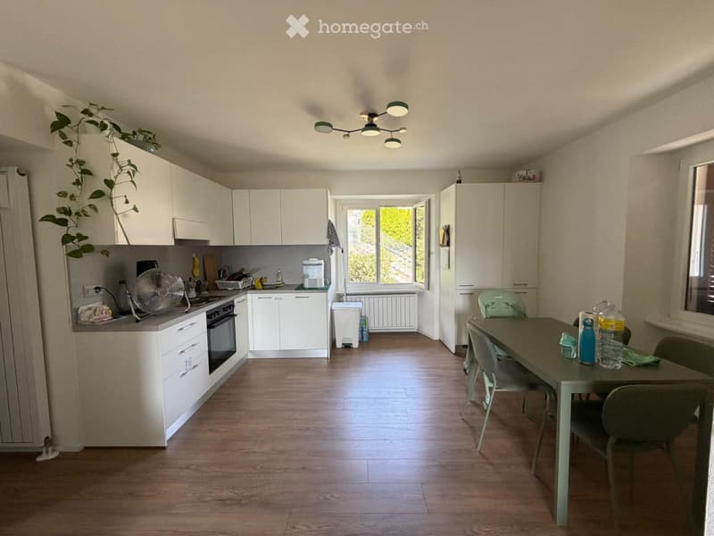 Appartamento 3.5 ultimo piano (2)