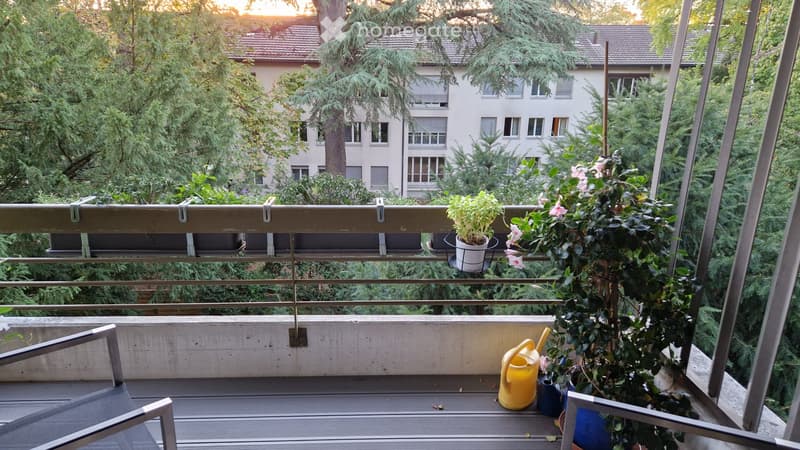 Ruhige schöne Wohnung im Park (3)