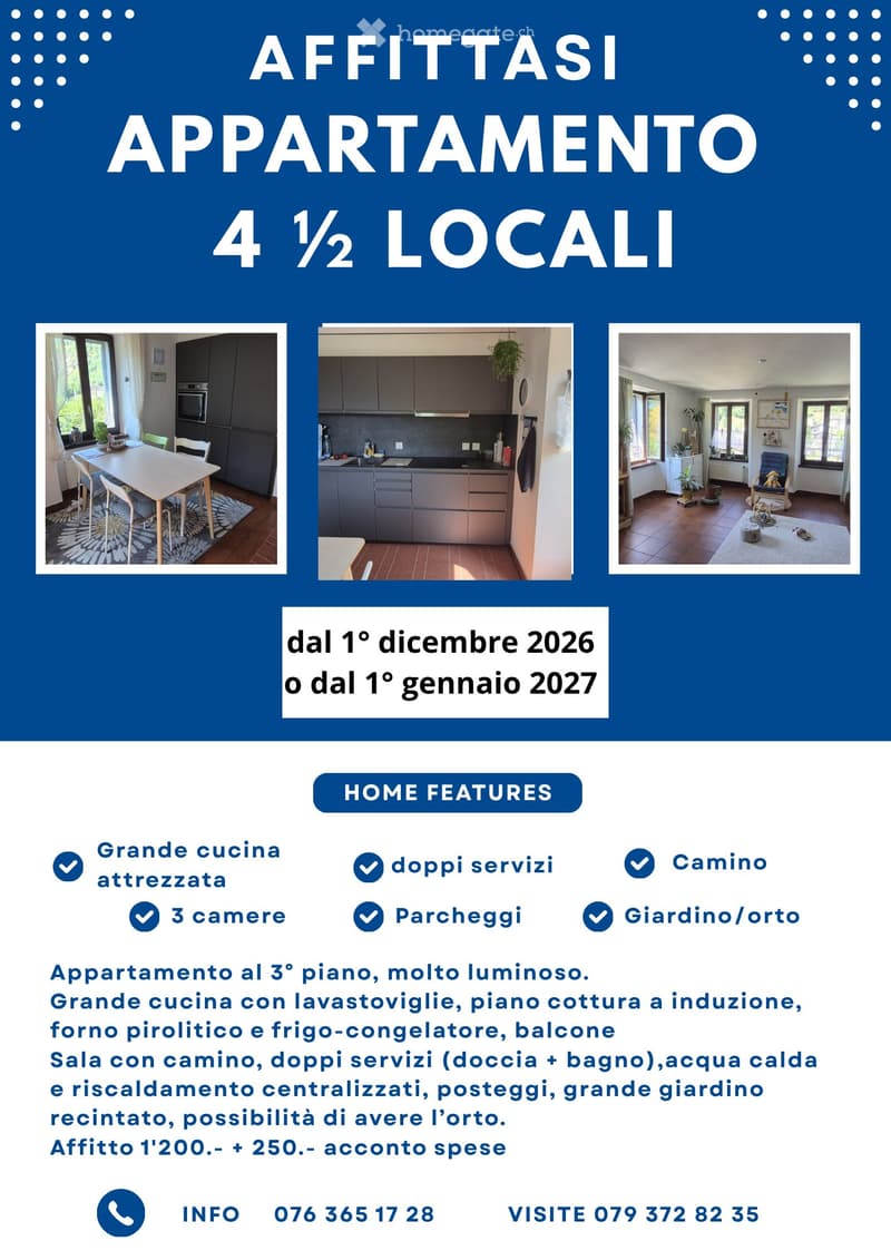 Ludiano appartamento molto luminoso 4.5 locali con camino (2)