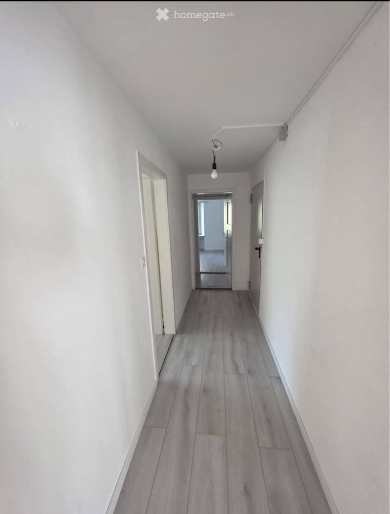 Vier Zimmerwohnung, 100 m² ab sofort vermieten (5)