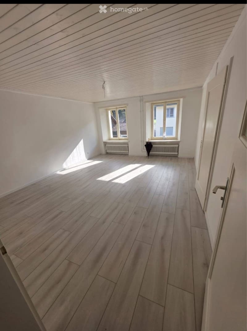 Vier Zimmerwohnung, 100 m² ab sofort vermieten (4)