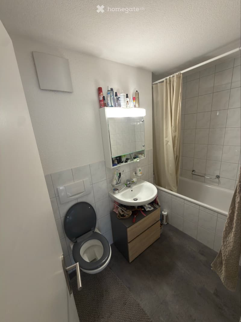 1 Zimmer/ WG (3)