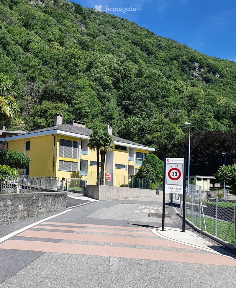 BELLINZONA-CARASSO AFFITTASI 4,5 LOCALI RISTRUTTURATO (1)