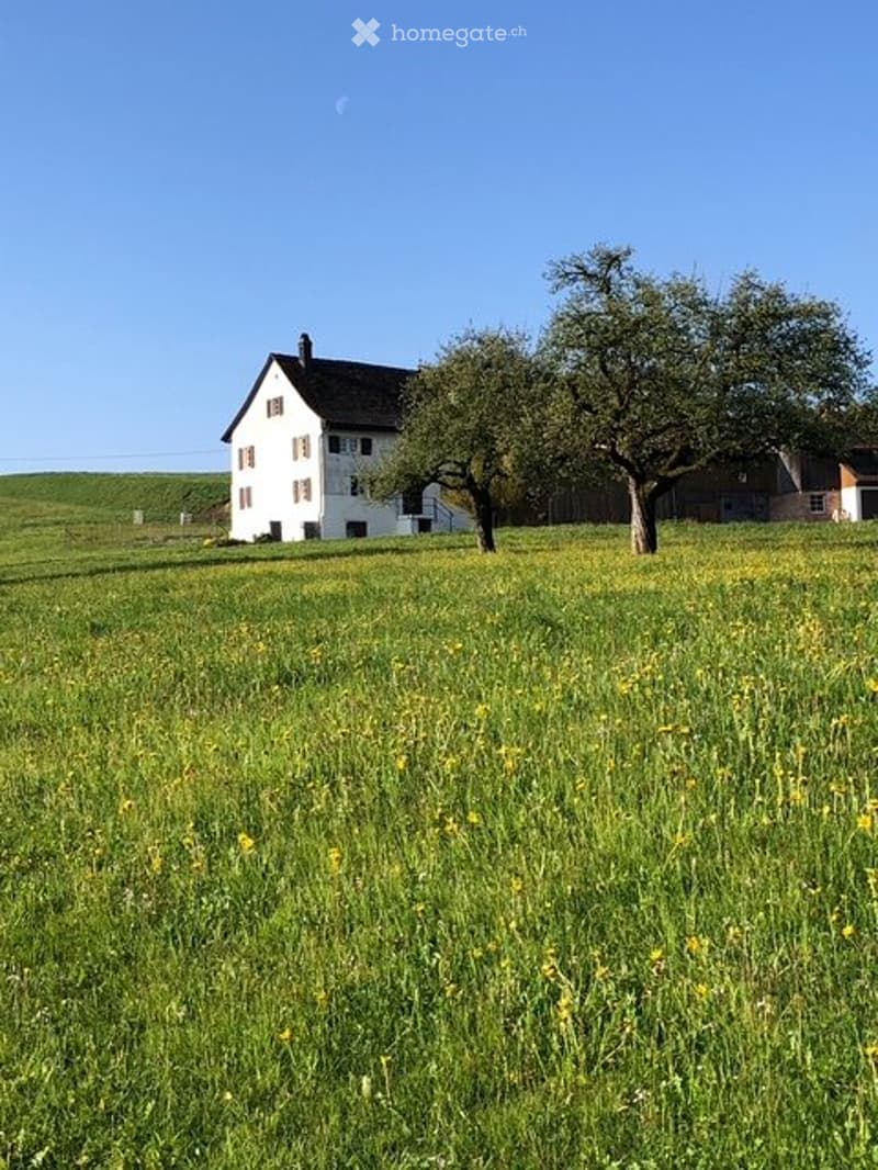 Idyllisches 6.5 Zimmer Bauernwohnhaus Hirzel (1)