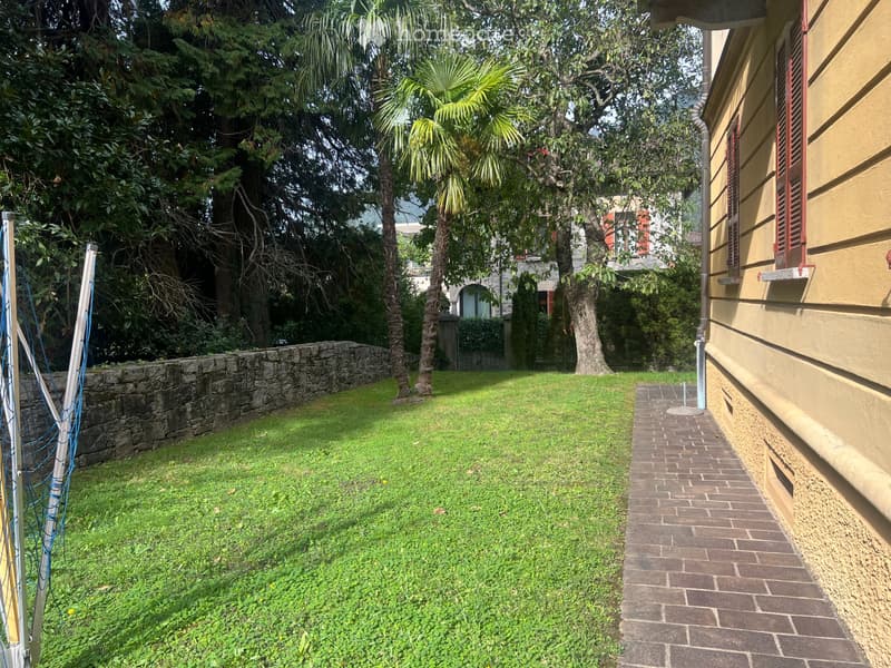 Bellinzona.Ravecchia,4.5 PT con giardino (5)