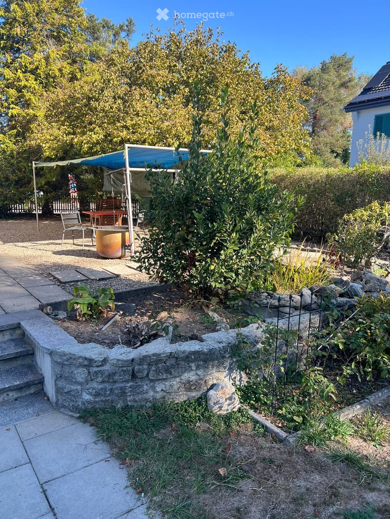 5-Zimmer-Einfamilienhaus mit Pool + viel Umschwung in Aarau (4)