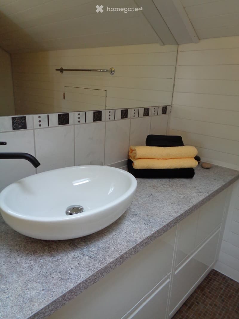 Grosswohnung (5)