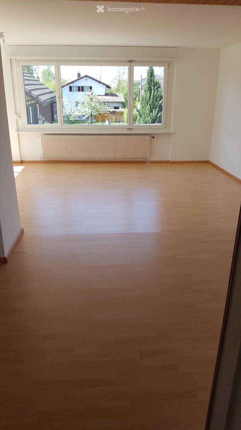 Helle, ruhige, grosse 5.5 Zimmer-Maisonettewohnung (5)