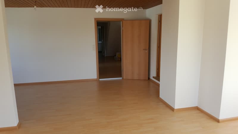 Helle, ruhige, grosse 5.5 Zimmer-Maisonettewohnung (2)