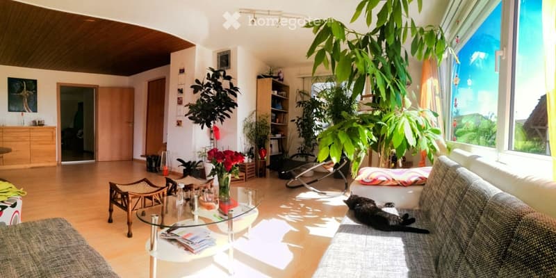 Helle, ruhige, grosse 5.5 Zimmer-Maisonettewohnung (1)