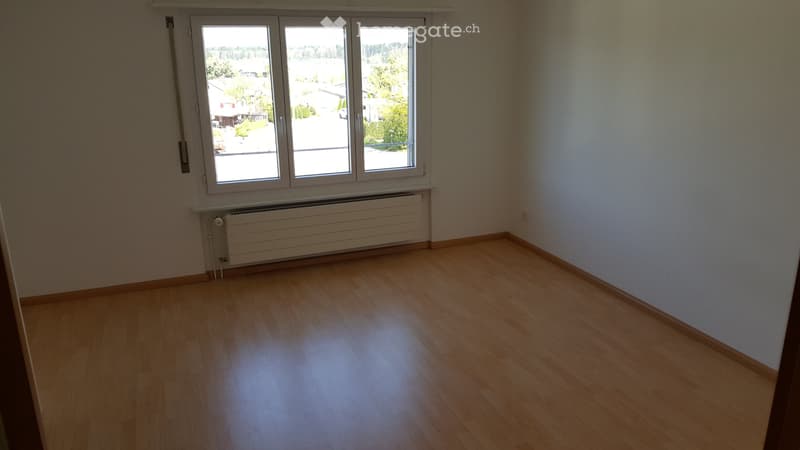 Helle, ruhige, grosse 5.5 Zimmer-Maisonettewohnung (3)