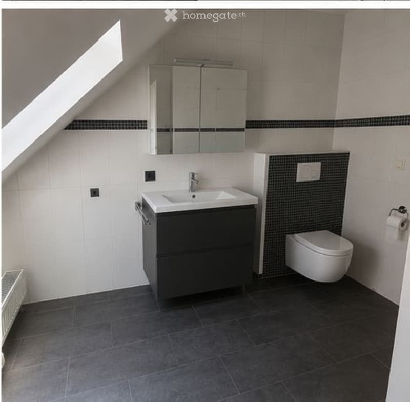 Zu vermieten 160m2 grosse 4.5 Zimmer Whg (3)