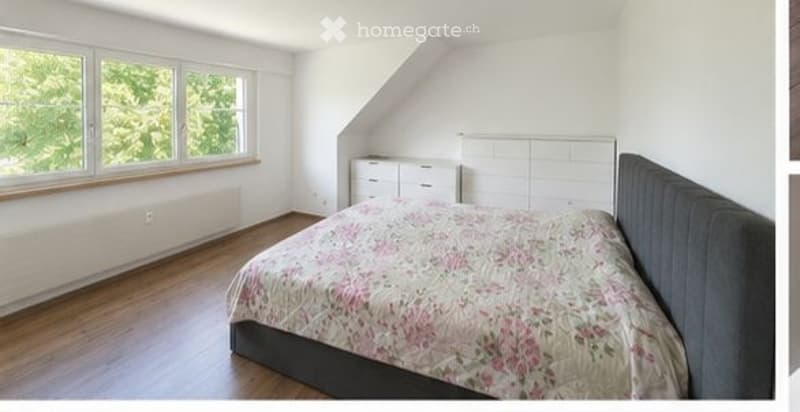Zu vermieten 160m2 grosse 4.5 Zimmer Whg (4)