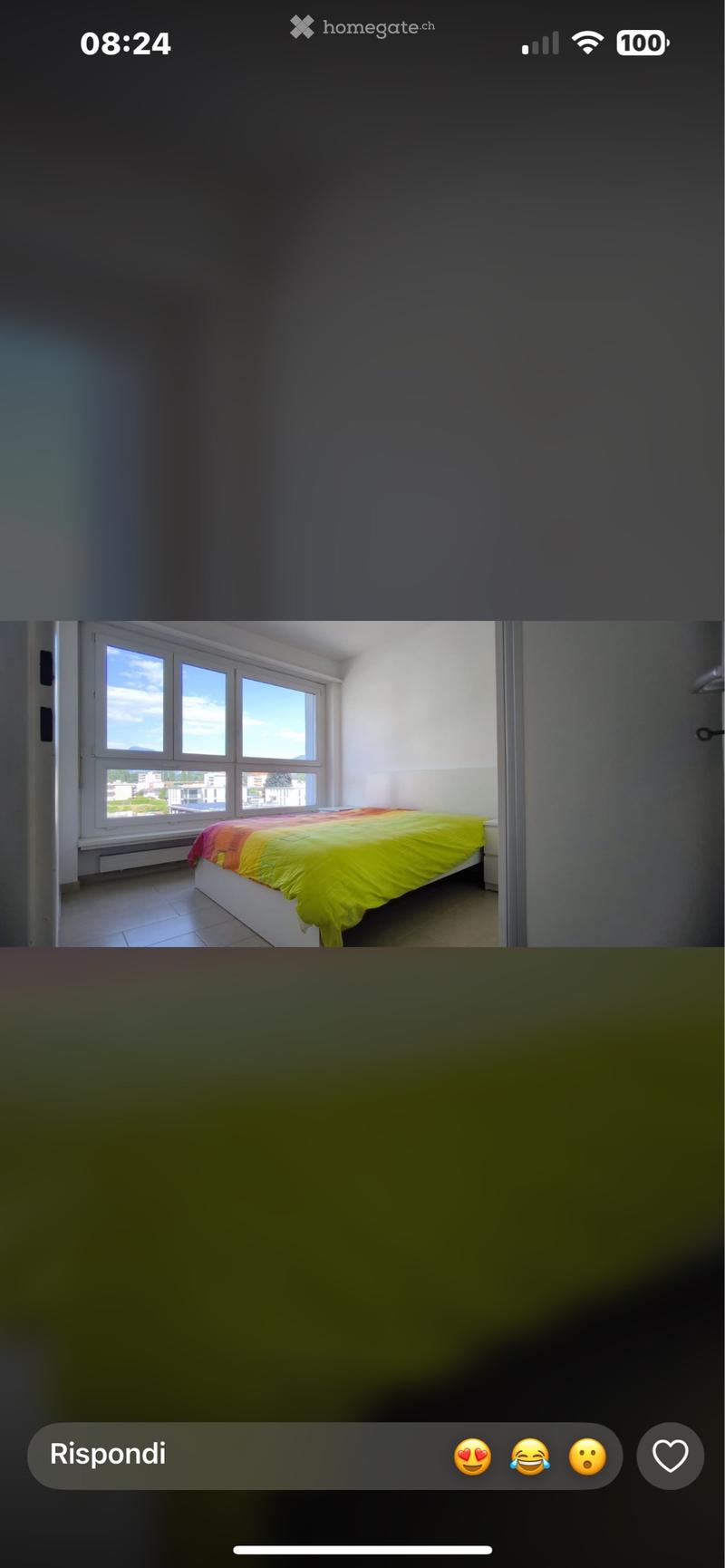 Bellissimo 2.5 caslano (5)