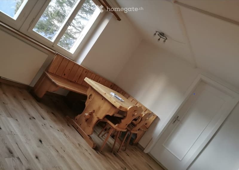 3.5-Zimmer-Wohnung auf den Eggbergen (4)