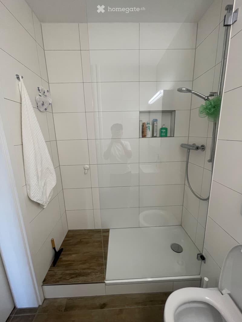 3.5 Zimmer Wohnung (4)