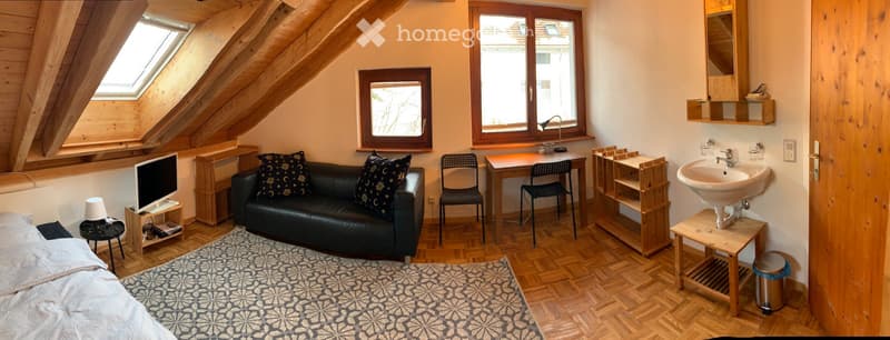 Möbliertes Zimmer (Serviced Apartment) (2)